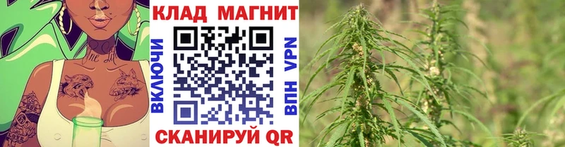 Конопля Ялуторовск
